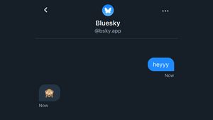 أطلق Bluesky أخيرا ميزة DM ، حيث يمكن للمستخدمين الزملاء تبادل الرسائل