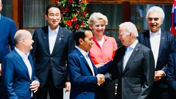 Expect G7 Support For Indonesian Presidency At G20, President Jokowi: See You In Bali