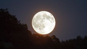 Supermoon Terbesar 2025 Akan Hiasi Langit pada 5 November