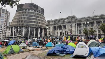 抗ワクチン抗議者に断固として立ち向かう、ニュージーランド警察は収容所とクレーン車を解体
