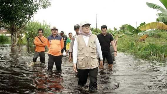 BPBD Palangka Raya: 2,470 Families Affected By Floods