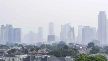 KLHK Awasi 32 Kegiatan Industri yang Bikin Polusi Udara di Jabodetabek