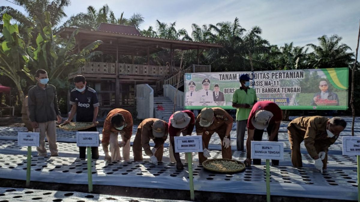 Pemkab Bangka Tengah Bakal Bangun Pasar Agribisnis untuk Fasilitasi Perdagangan Produk Pertanian