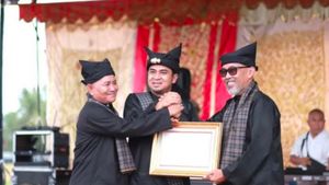 Pawai Rang Solok Baralek Gadang 2025 Jadi Ajang Mengenalkan Budaya Daerah ke Generasi Muda