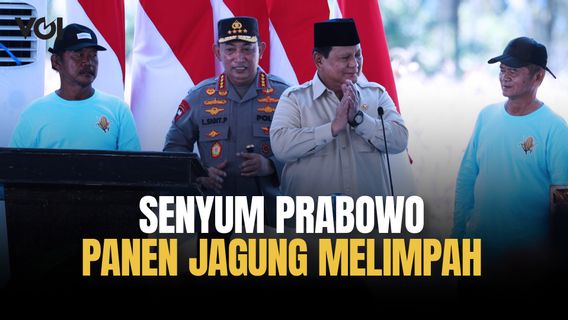 Presiden Prabowo Tersenyum, Produksi Jagung Indonesia Naik Hampir 50 Persen