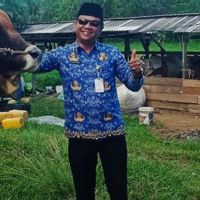 Jelang Iduladha, Presiden Prabowo Sumbang 1 Sapi di Natuna