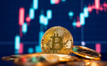 Pasar Kripto Ambrol, Pemegang Bitcoin Jangka Panjang Tetap Hodl BTC