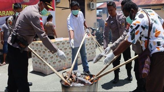 تدمير 2.4 كيلوغرام من الماريجوانا الجافة في شرطة جايابورا