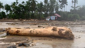 スマトラの災害は雨のためだけではない