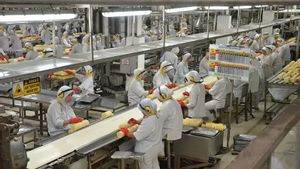 Kemeperin Sebut China hingga Jerman Kepincut Investasi di Kawasan Industri Halal