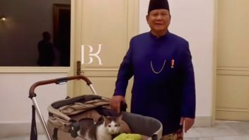  Bobby Jadi Penghuni Resmi di Istana Temani Prabowo Saat Bekerja