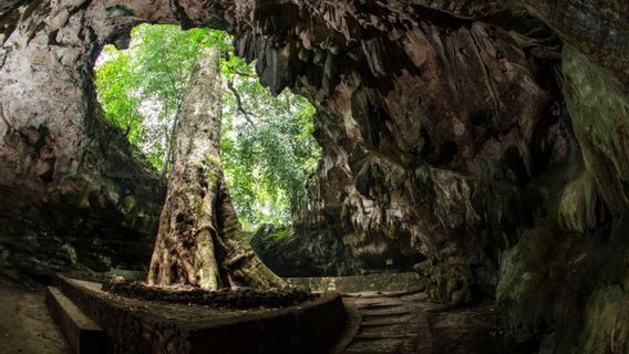 ユニーク！グヌンキドゥルのファッションショーは、ランチャンケンカナ洞窟、ブレベランで開催されます