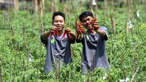 Anggota Pansus Agraria DPR: Petani Harus Jadi Subjek Utama Pembangunan Pangan Nasional