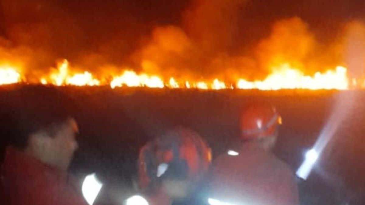 Petugas Damkar Padamkan Kebakaran Lahan di Pantai Ketang Lampung Selatan