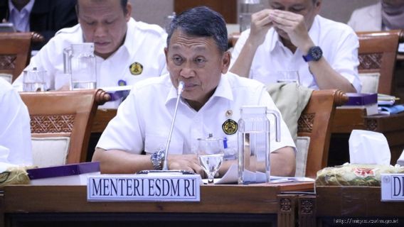 Menteri ESDM Klaim Potensi Sumber Daya PTFI Cukup hingga 100 Tahun ke Depan