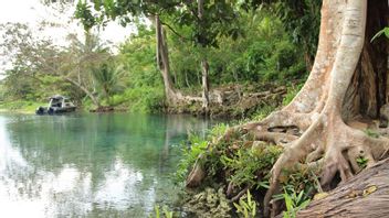 Legenda Maluku: Awal Mula Terjadinya Air Putri