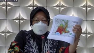 Gempa Pacitan, Mensos Risma: Berkali-kali BMKG Sampaikan, Ini Bukan Sekedar Ramalan