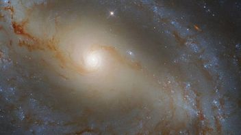 哈勃望远镜捕捉蛇形螺旋星系的图像