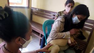Vaksinasi Rabies Penting, Warga Diingatkan Vaksinnya Bisa Diperoleh di Dokter Hewan 