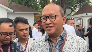 Menteri Investasi Sebut Ekosistem IKN Sudah Mulai Terbentuk