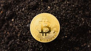 Kepala Riset di Fundstrat Global Tom Lee: Bitcoin Lebih Baik dari Dolar untuk Mencegah Kejahatan