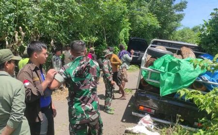 Aksi Pembalakan Liar di TN Gunung Tambora NTB, 3 Orang Diamankan Petugas