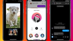 Meta Hapus Kemampuan Obrolan Lintas Aplikasi Instagram dan Facebook Bulan Ini