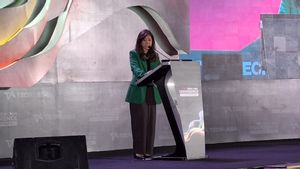 Menkomdigi Meutya Ajak Investor Global Percaya pada Startup Indonesia