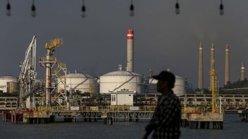 Kebijakan Harga Patokan Mineral Arahkan Pelaku Usaha Orientasi pada Hilirisasi