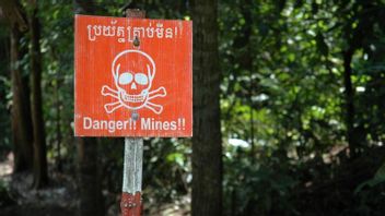 The Hero In Cambodia's Minefield From Africa Breathed His Last, Leaves Lasting Memories