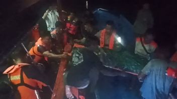 林卡岛被科莫多咬伤的居民疏散搜救队