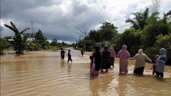 1.123 KK Terdampak Banjir yang Rendam 9 Desa di Barito Kuala Kalsel
