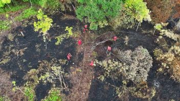 2 Titik Karhutla di Bengkalis Riau, Manggala Agni Sebar 4 Regu Pemadaman
