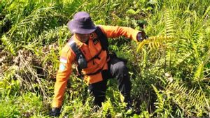 Pencarian Nenek 81 Tahun Hilang di Kebun Karet Dekat Rumahnya, Tim SAR Banda Aceh Temukan Sandal Diduga Milik Korban