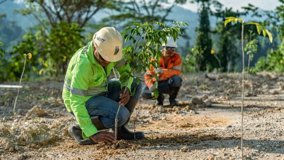 Le NHM restaure 232,69 hectares d'anciens terrains miniers à Gosowong