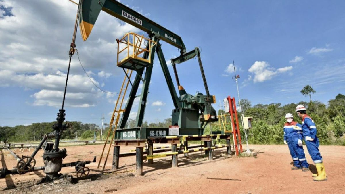 SKK石油和天然气生产率下降1.1%