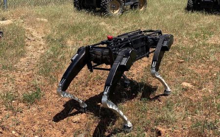 Uji Coba Anjing Robot AS untuk Patroli di Perbatasan Meksiko Dikritik Politisi dan Kelompok HAM