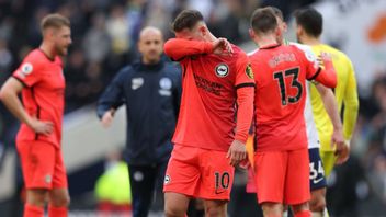 Brighton And Hove Albion Again Robbed By The Court On The Field, The Premier League Referee Agency Can Only Apologize Again