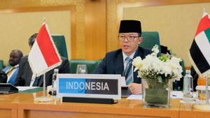 杉野外務大臣は,イスラエルは義務を果たさなかったため,国際法の重大な違反を犯したと強調した。