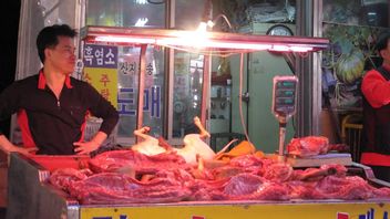 Presiden Korea Selatan Moon Jae-in Pertimbangkan Larangan Mengonsumsi Daging Anjing