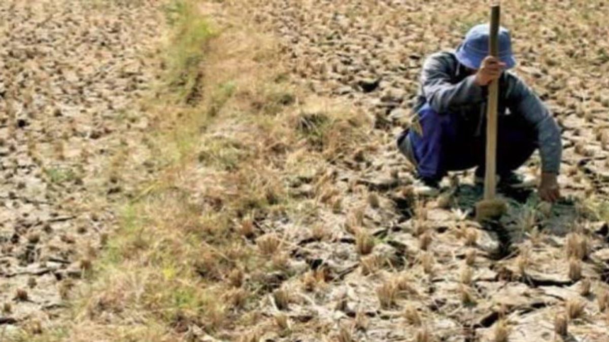 11 Kecamatan di Sampang Jatim Alami Kekeringan