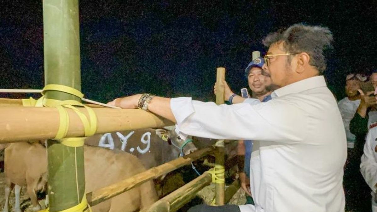 Minister Of Agriculture Checks Availability Of Sacrificial Animals Ahead Of Hajj Lebaran In Gowa