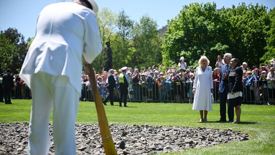 Alpaka Ini Bersin saat Bertemu dan Disapa Raja Charles III di Australia