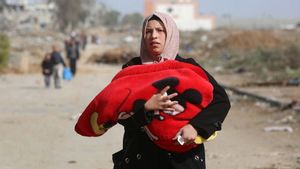 29 People Killed In Israeli Airstrikes On Gaza Refugee Camps