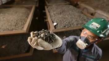 Acting Director General Of Mineral And Coal Opens Voice About Alleged Illegal Nickel Ore Exports To China