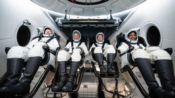 SpaceXは8月にNASAのクルー9ミッションを打ち上げ続けています