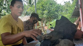 Padang Pariaman Résidents Prétendent Trouver Météore Dans Papaye Garden, Déjà Appeler La NASA