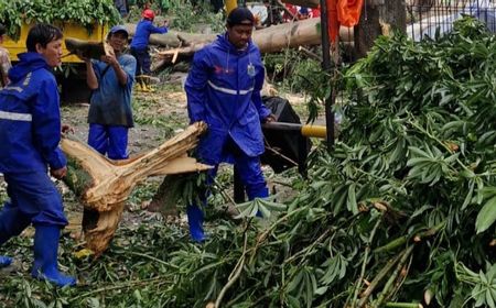 Cegah Pohon Tumbang, Satgas Tamhut Jakpus Lakukan Pemangkasan