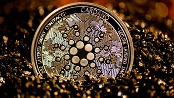 Cardano soutient le développeur Web3, ce qui affecte le prix de la pièce ADA!