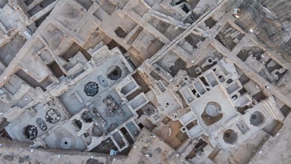 考古学者は、イスラエルの1,500年前のビザンチン時代の最大の古代ワイナリーを発見
